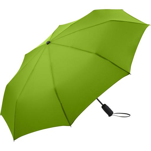 5690 limette