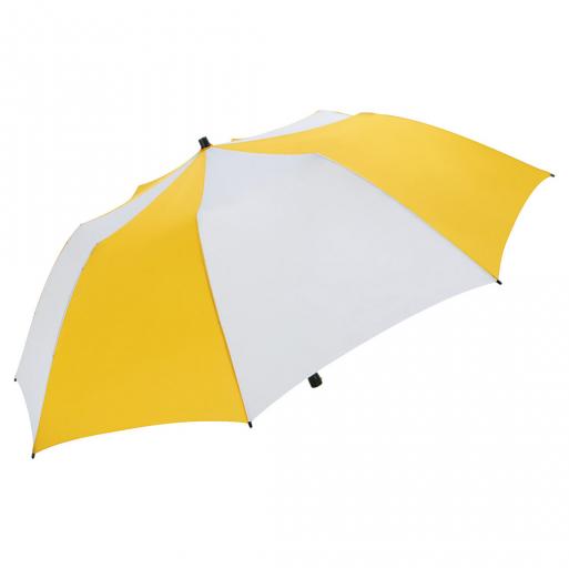 6139 white-yellow