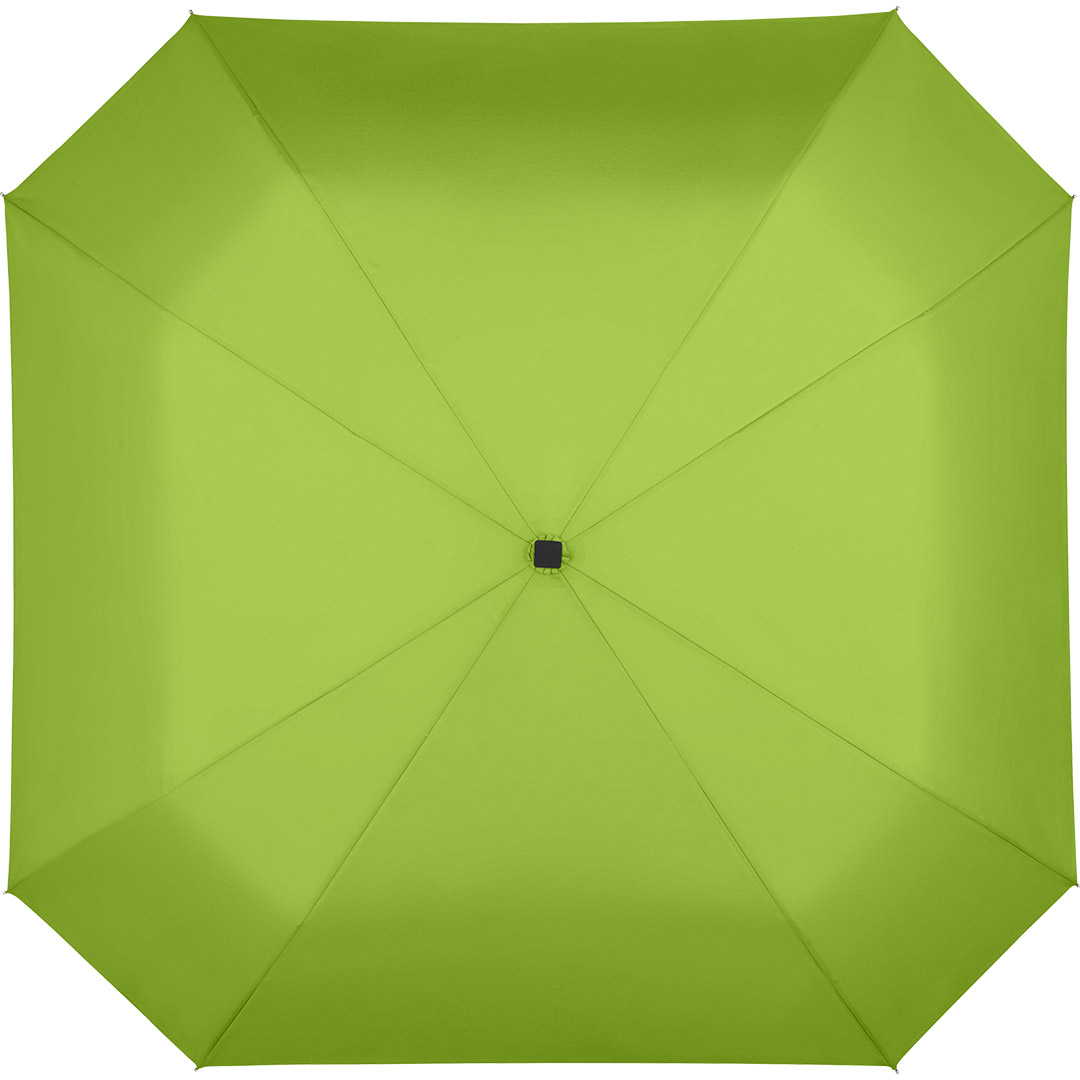 5649 limette