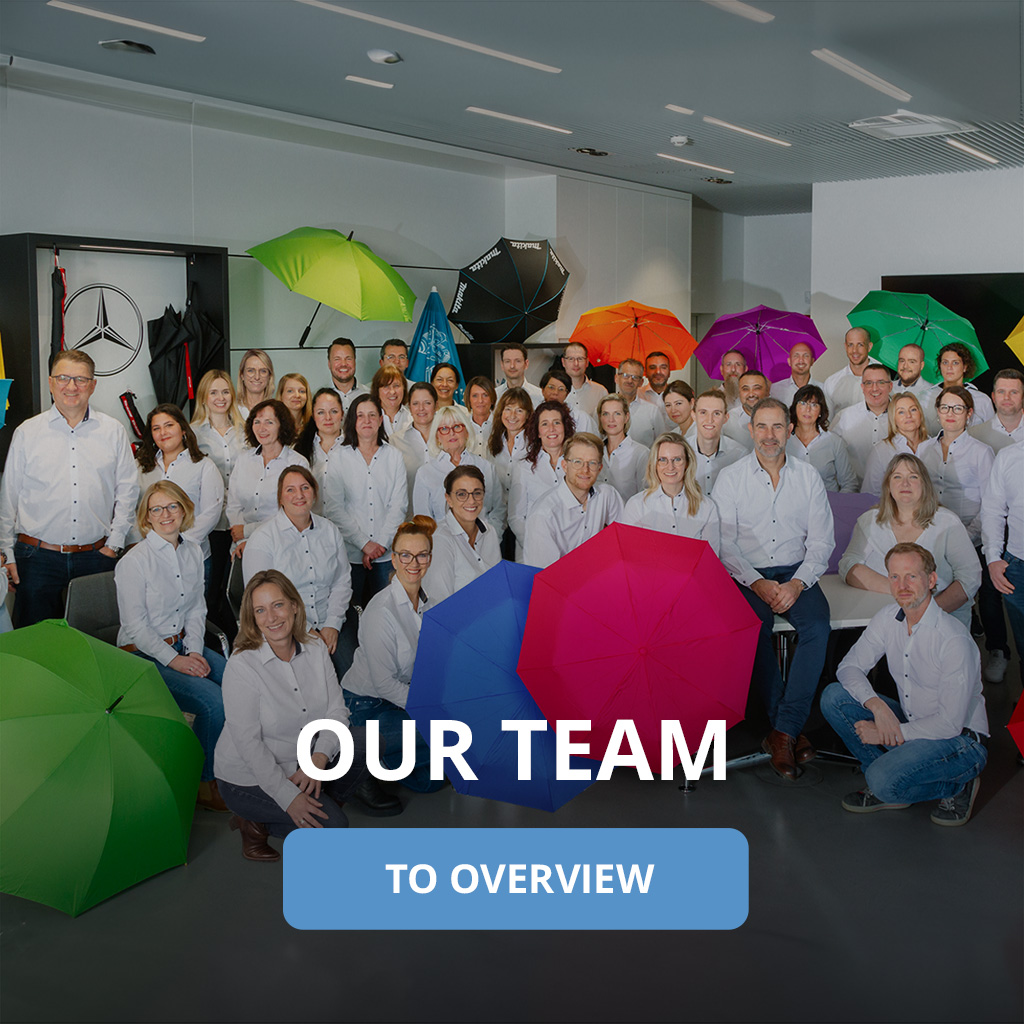 Our team
